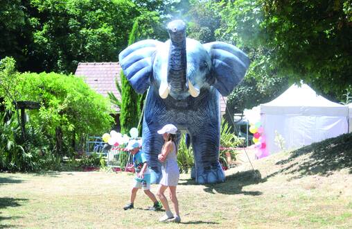 Photo de Festi’vertes & Fête de la musique