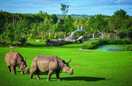 Photo de Zoo de la Flèche