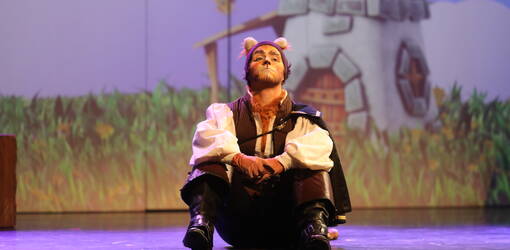 Le Chat Botté, le musical