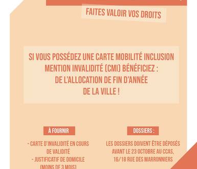 Photo de Allocation invalidité de fin d’année