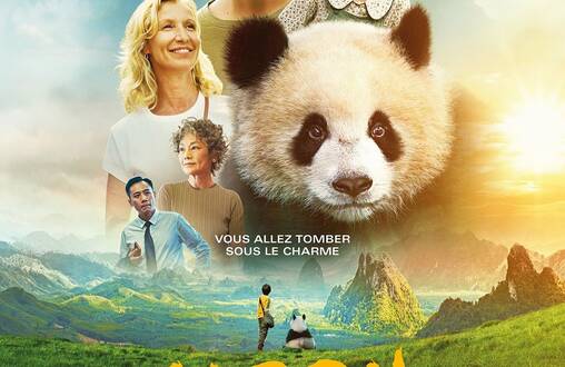 Photo de Moon le panda