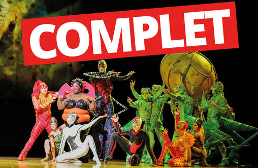 Photo de Sortie : Cirque du soleil - Alegría