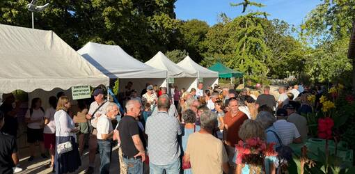 Fête et apéro des associations