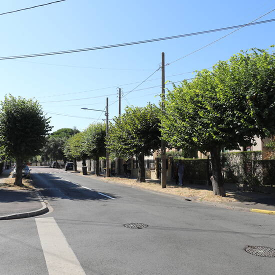 Photo de Élagage d’été : nos arbres se refont une beauté pour la rentrée !