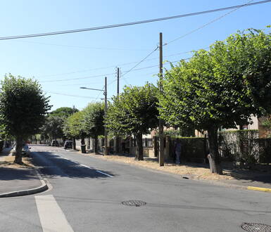 Photo de Élagage d’été : nos arbres se refont une beauté pour la rentrée !