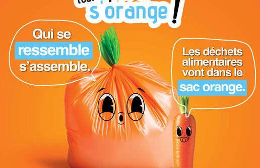 Photo de Tri des déchets alimentaires : Rien ne se perd, tout s’orange ! 🧡