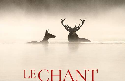 Photo de Le Chant des forêts