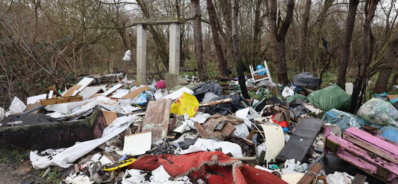 Illustration de Collecte d’encombrants sur rendez-vous ♻️