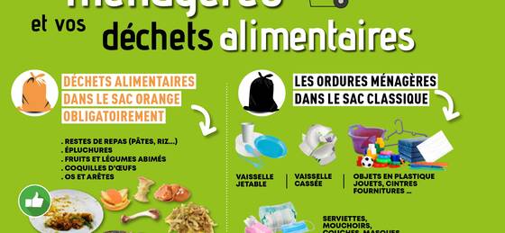 Illustration de Nouveaux sacs poubelles ! ♻️